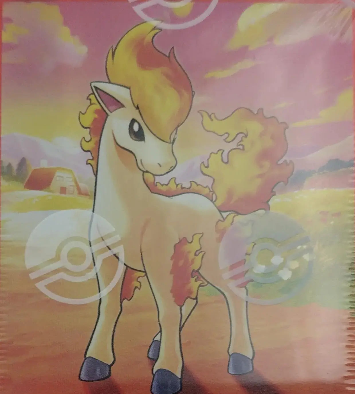 Chinese Pokémon TCG | Booster Boxes & Sealed Products